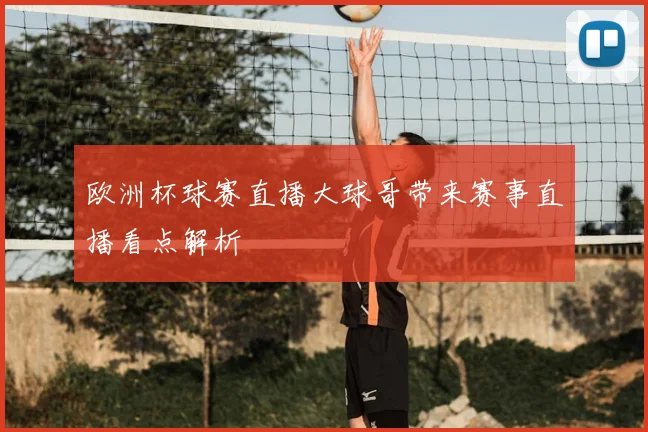 欧洲杯球赛直播大球哥带来赛事直播看点解析