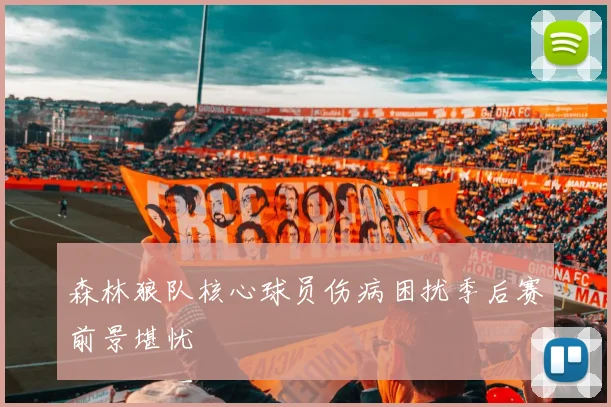 森林狼队核心球员伤病困扰季后赛前景堪忧