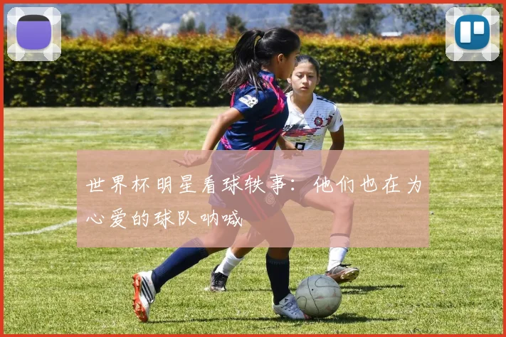 世界杯明星看球轶事:他们也在为心爱的球队呐喊
