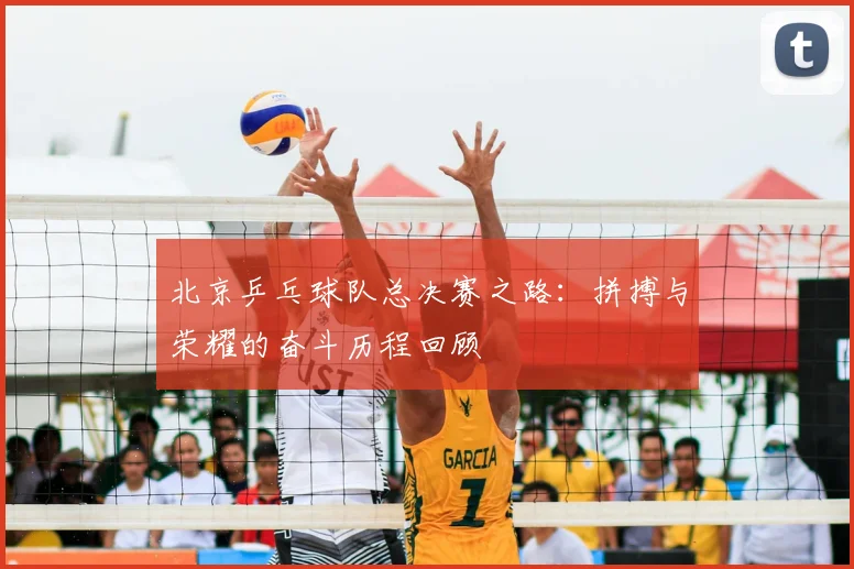 北京乒乓球队总决赛之路:拼搏与荣耀的奋斗历程回顾