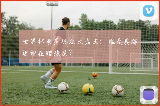 世界杯明星观众大盘点：谁是真球迷谁在蹭热度？