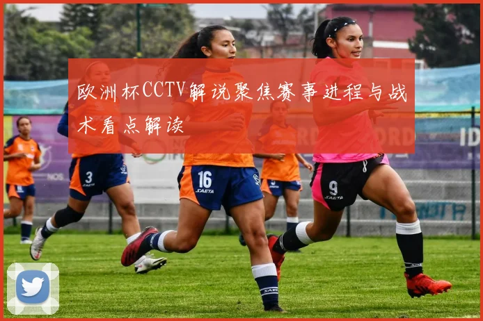 欧洲杯CCTV解说聚焦赛事进程与战术看点解读