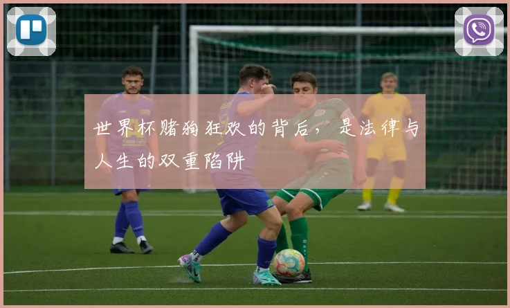 世界杯赌狗狂欢的背后，是法律与人生的双重陷阱