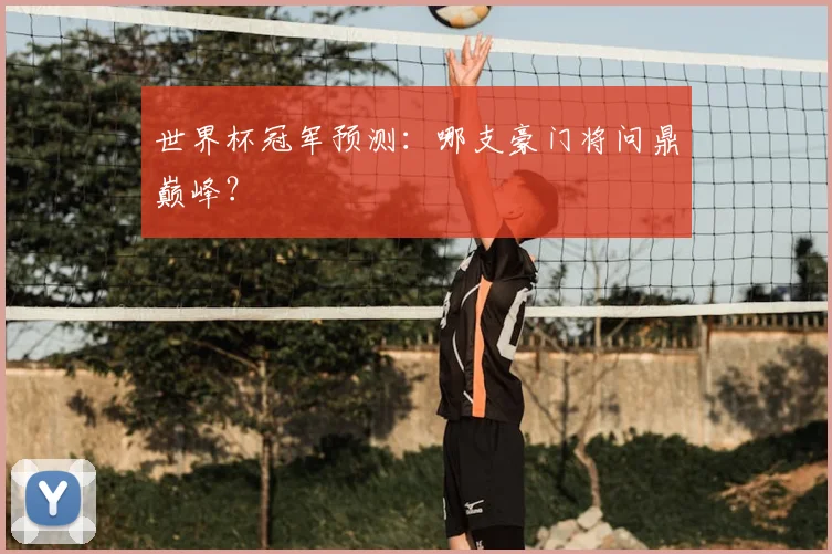 世界杯冠军预测:哪支豪门将问鼎巅峰?