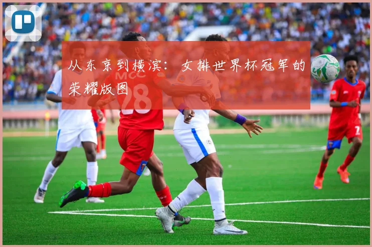 从东京到横滨：女排世界杯冠军的荣耀版图