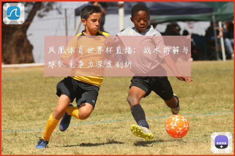 凤凰体育世界杯直播：战术拆解与球队竞争力深度剖析
