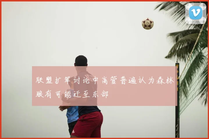联盟扩军讨论中高管普遍认为森林狼有可能迁至东部