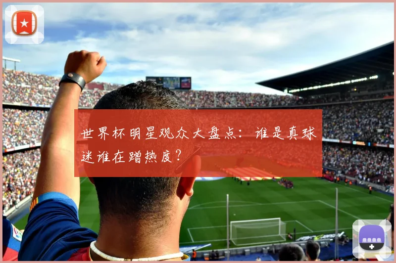 世界杯明星观众大盘点：谁是真球迷谁在蹭热度？