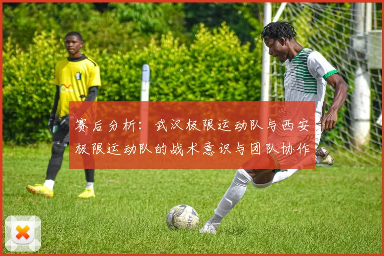 赛后分析:武汉极限运动队与西安极限运动队的战术意识与团队协作对比