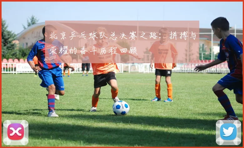 北京乒乓球队总决赛之路:拼搏与荣耀的奋斗历程回顾