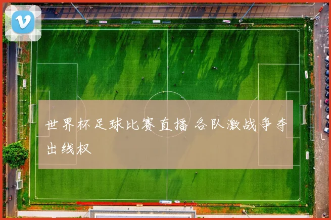 世界杯足球比赛直播 各队激战争夺出线权