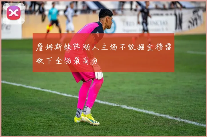 詹姆斯缺阵湖人主场不敌掘金穆雷砍下全场最高分