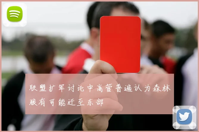 联盟扩军讨论中高管普遍认为森林狼有可能迁至东部
