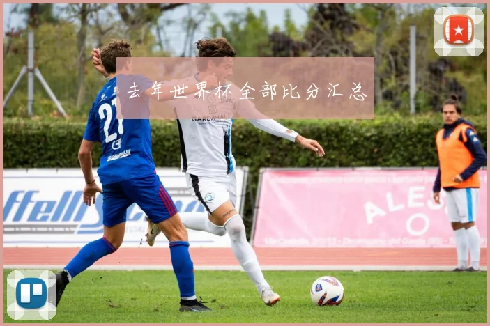 去年世界杯全部比分汇总